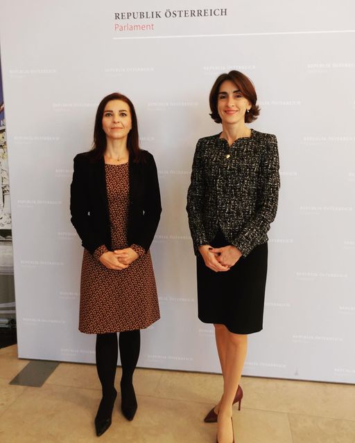 Georgien im Parlament